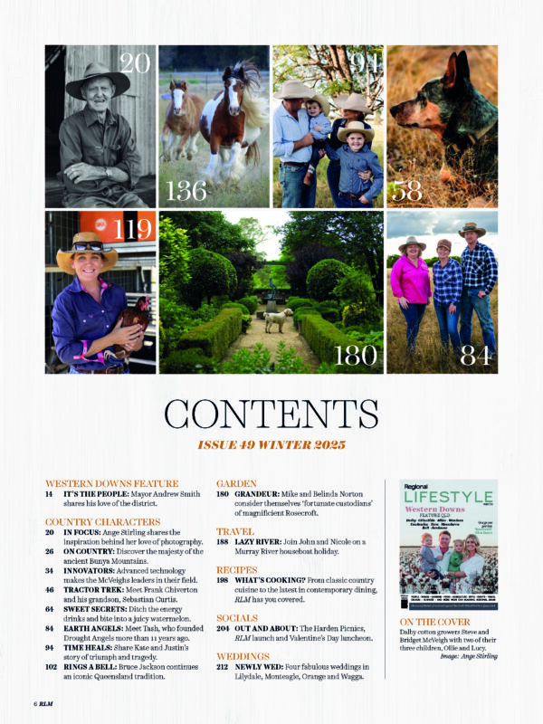 Individual Issues - Image 103